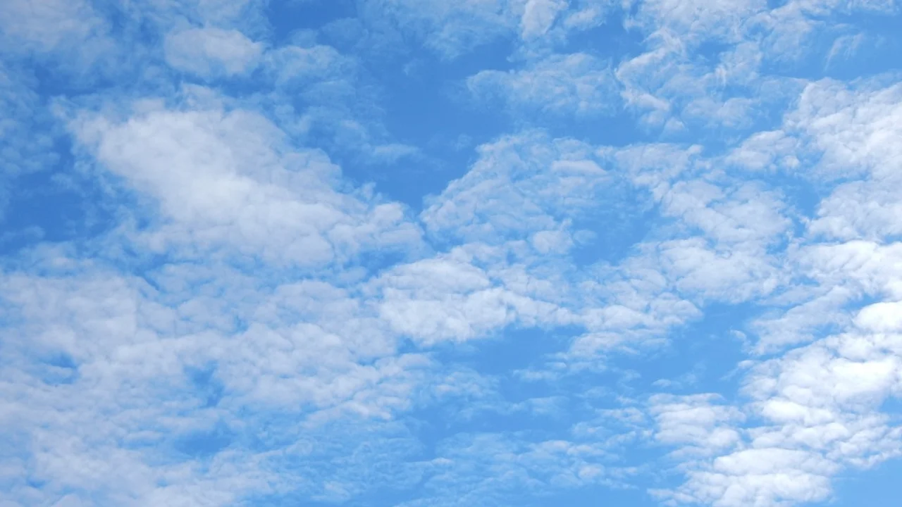 Easy Chorizo Street Tacos